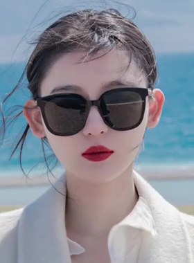 大框墨镜女高级感太阳眼镜冬季