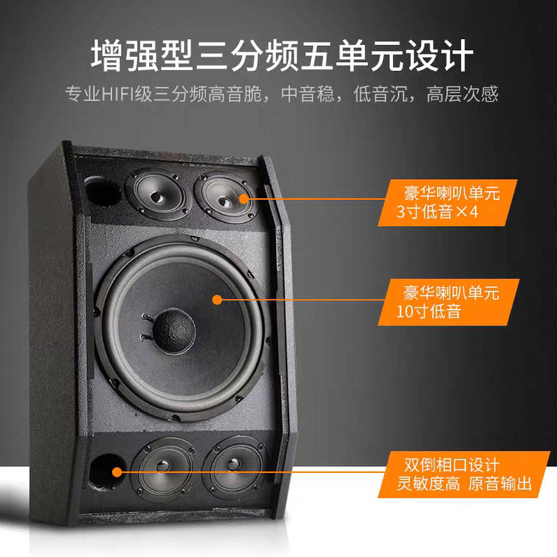 新科家庭ktv专业大功率10寸音响 新科玖利度KTV/卡拉OK音箱