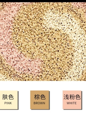 克利夫兰气垫遮瑕三合一