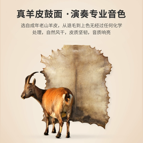 Cega Бубен из овчины для детского сада, ударные инструменты из ПВХ, 10 дюймов