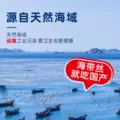 低脂裙带菜丝开袋即食海带丝小袋中华海草沙律日料下饭凉拌菜寿司 图片 2