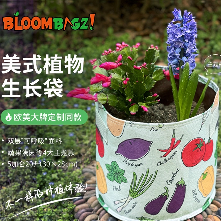 bloombagz美式加仑种植袋 盆栽花卉绿植兰花多肉专用创意特大花盆