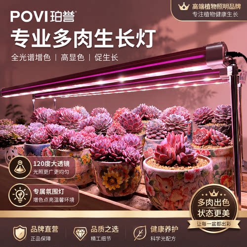 珀誉植物生长灯全光谱led绿植鹿角蕨龙舌兰防太阳光生长补光灯 - 图1