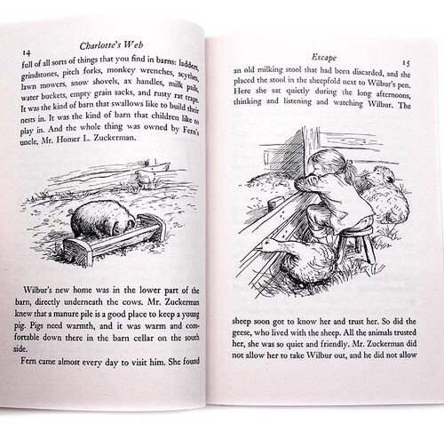 235元8件 Charlotte's web 夏洛特的网 holes别有洞天 数星星仙境之桥英文原版小说进口外国儿童文学书籍纽伯瑞奖作品青少年小说集 - 图1