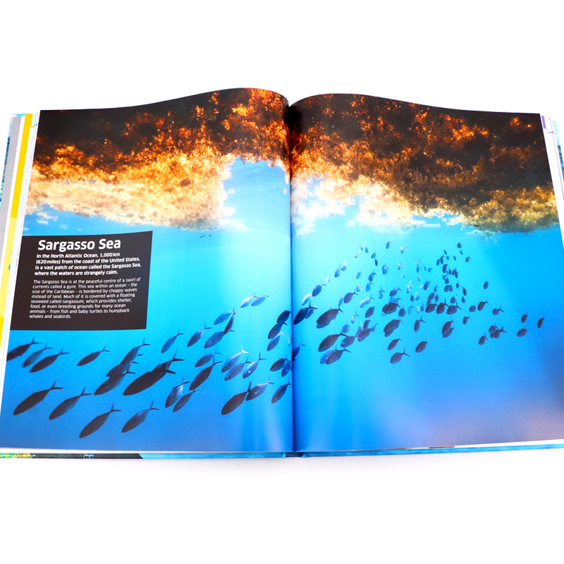 现货 DK知识百科全书 海洋 Knowledge Encyclopedia Ocean 英文原版 精美插图 海底地理地质生态海洋生物图解百科 精装 儿童读物 - 图1