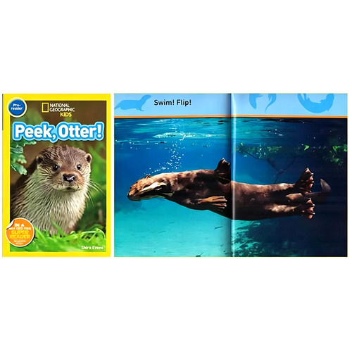 英文原版美国国家地理系列入门级34册一二三阶段分级阅读 National Geographic Kids Pre-reader/Level1/2/3 儿童英语启蒙全彩读物 - 图1