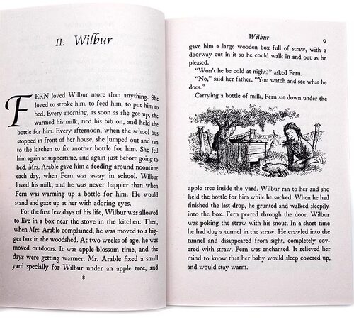 235元8件 Charlotte's web 夏洛特的网 holes别有洞天 数星星仙境之桥英文原版小说进口外国儿童文学书籍纽伯瑞奖作品青少年小说集 - 图2