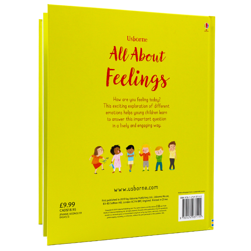 现货 Usborne出品关于感觉 All About Feelings英文原版绘本精装大开插图情绪表达情绪管理情商培养启蒙图画书-图0