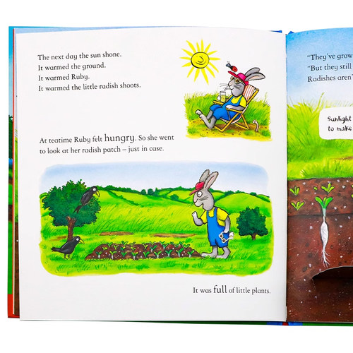 Axel Scheffler自然植物绘本4册 英文原版 National Trust Tilly Plants a Tree Butterfly Garden Radish Sunflower 立体翻翻页 - 图2
