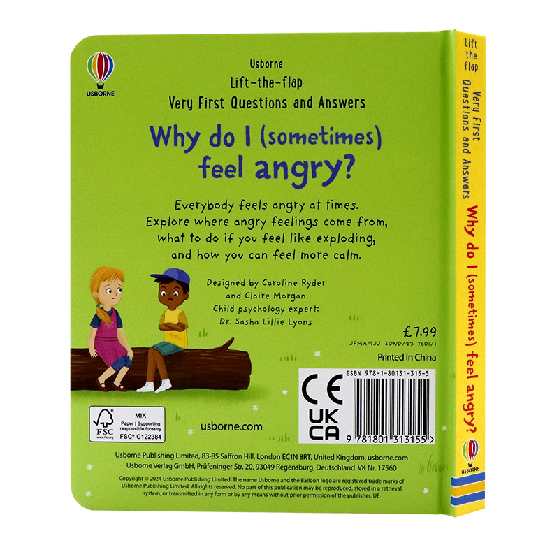 Usborne问与答系列立体翻翻书为什么我有时候会生气 Why do I sometimes feel angry 英文原版英语绘本 幼儿童情绪管理纸板机关书 - 图0