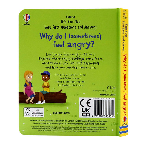 Usborne问与答系列立体翻翻书为什么我有时候会生气 Why do I sometimes feel angry 英文原版绘本 幼儿童情绪管理纸板机关书 - 图0