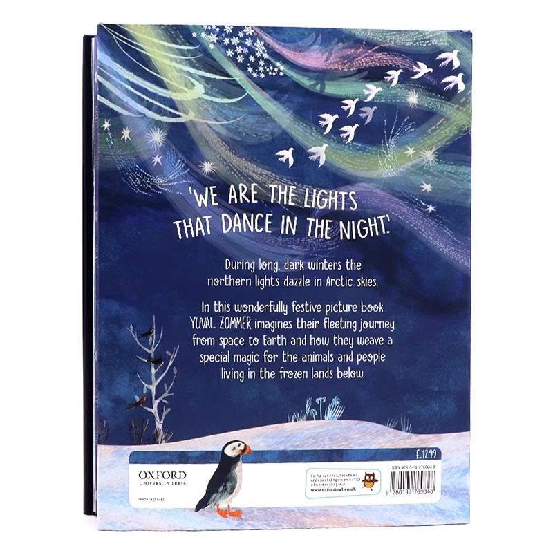 灯光中跳舞 英文原版 The Lights That Dance In The Night 牛津精品认知绘本 精装大开图画书儿童英语启蒙认知阅读Yuval Zommer