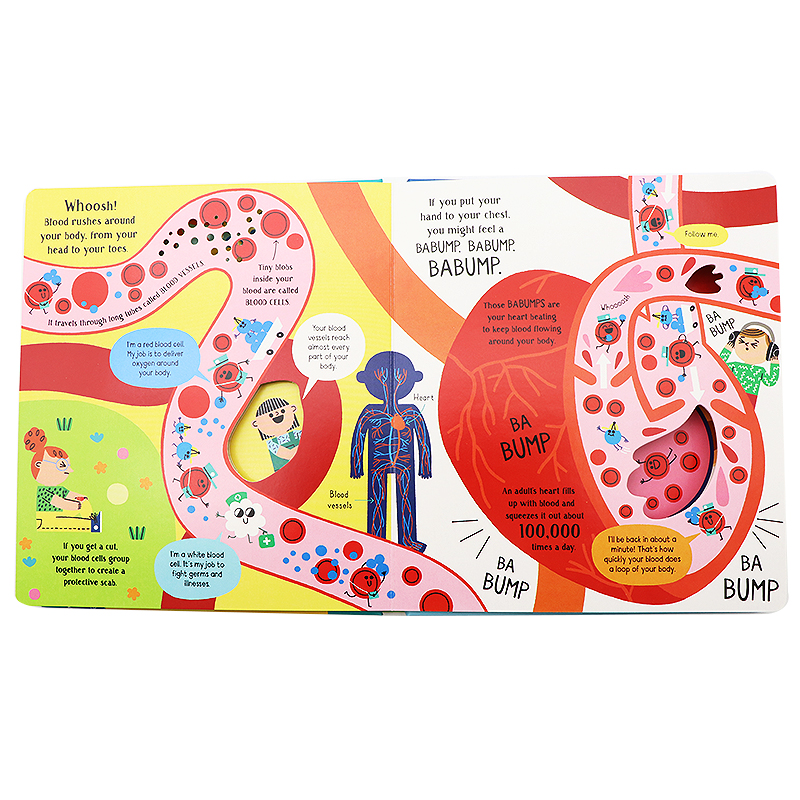 Usborne 走进你的身体 英文原版绘本 Step Inside Science:Your Body 学龄前幼儿童科普认知识类英语读物 早教启蒙洞洞纸板翻翻书