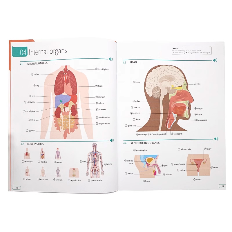 预售 DK英语10000词图解词典 英文原版 单词短语参考指南 illustrated English Dictionary 生活日常常用词汇插图英语学习教材教辅 - 图0