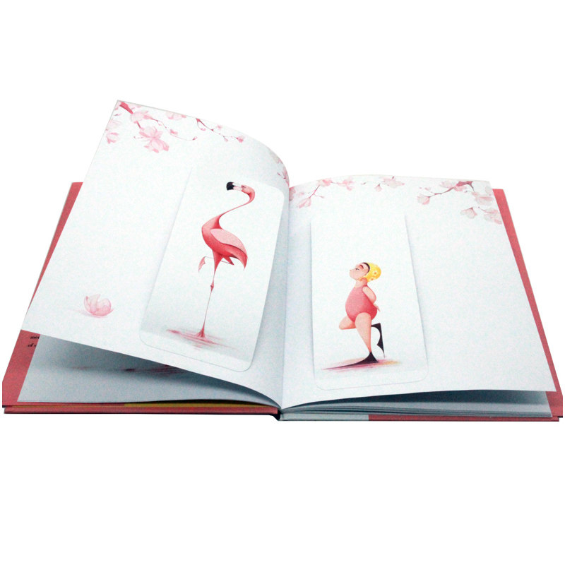 弗洛拉和火烈鸟 Flora and the Flamingo 英文原版绘本 凯迪克银奖 精装大开英语启蒙认知图画故事书 亲子共读绘本获奖绘本
