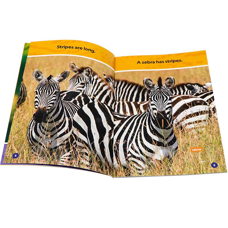 美国国家地理分级阅读系列初阶 条纹与斑点 英文原版 National Geographic(Pre-Readers): Stripes and Spots 儿童英语启蒙读物