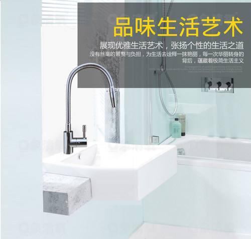 泉清氧净水器水龙头2分万向鹅颈龙头直饮机纯水不锈钢双出水弯管 - 图2