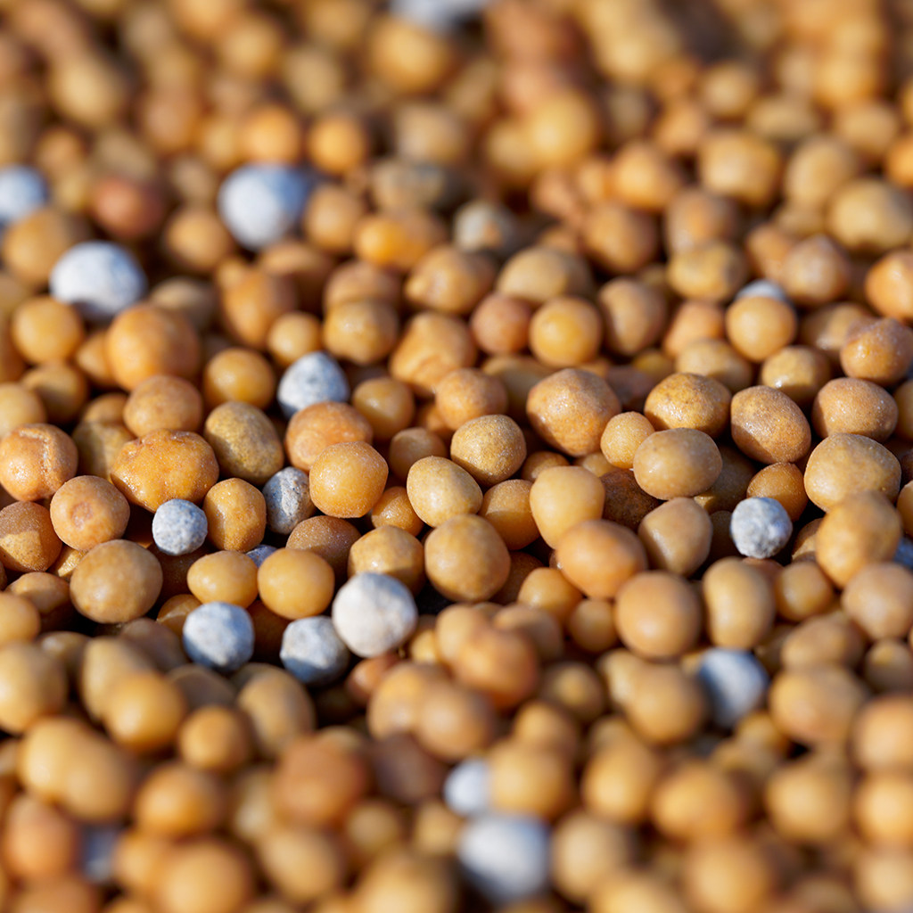 光语石 生石花肉锥多肉专用缓释肥 长效颗粒奥绿肥通用营养复合型,淘宝优惠券,粉丝福利购,淘宝优惠卷