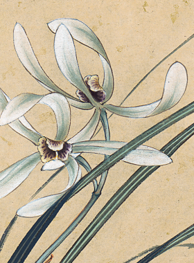 兰花卷轴挂画国画中式玄关装饰画