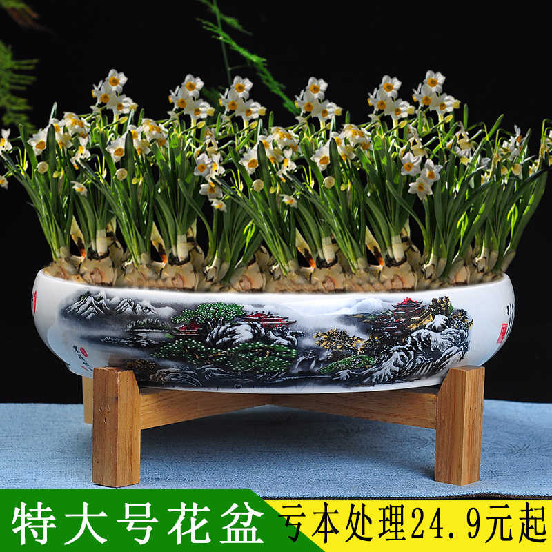 白色水仙 新人首單立減十元 22年1月 淘寶海外 白色水仙 新人首單立減十元 22年1月 淘寶海外