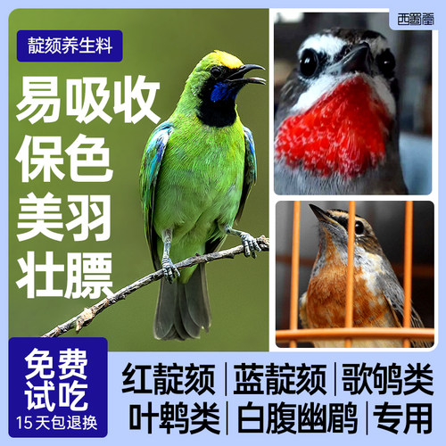西蜀堂手工靛颏鸟食壮膘保色靛颏饲料嗜虫杂鸟仙翁幽鹛叶鹎鸟鸟食 - 图0