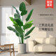 Simulated green plant potted fake plant Bird of paradise simulated flower