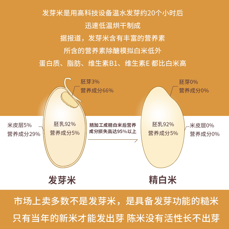 寨香发芽糙米新米4kg宝宝婴儿辅食发芽玄米发芽米礼盒包邮 虎窝淘 寨香发芽糙米新米4kg宝宝婴儿辅食发芽玄米发芽米礼盒包邮 虎窝淘