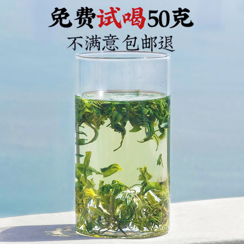 【k姐推荐】崂山绿茶2023新茶云雾500g散装特级浓香型青岛绿茶叶