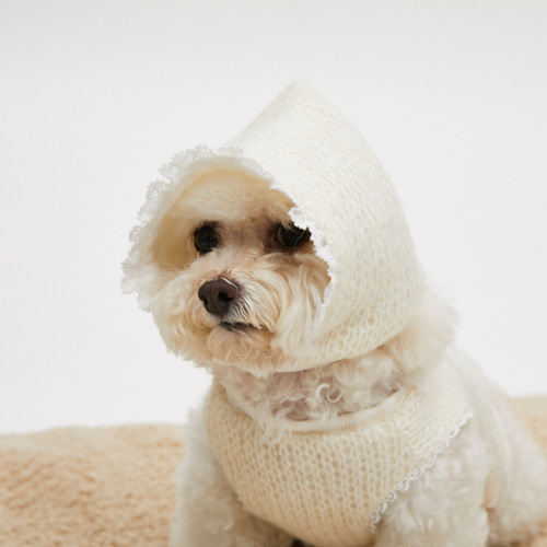 燕子萌宠屋韩国代购louisdog宠物猫狗秋冬保暖围脖帽子 - 图0