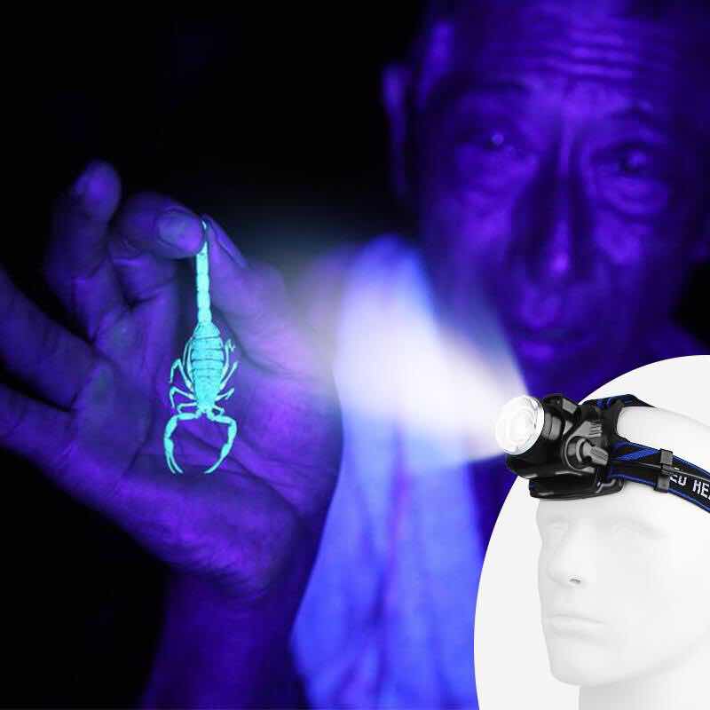 头戴式感应蝎子灯养蝎厂专用照蝎神器变焦远射超亮充电强光紫光灯
