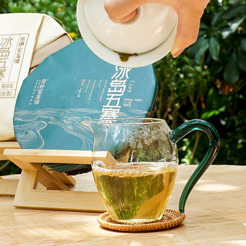 冰岛五寨生茶】云南临沧2023年普洱古树春茶叶雨婷家茶铺 500g/提 - 图3