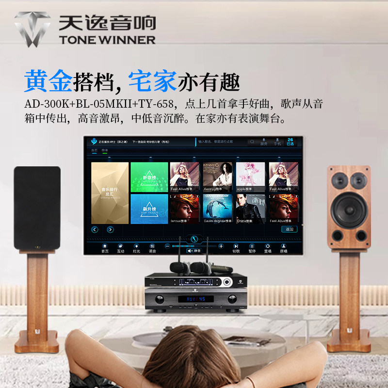 Winner/天逸BL-05MKII百灵五号家用KTV卡拉OK卡包音箱家庭K歌音响 - 图3