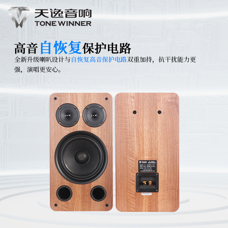 Winner/天逸BL-05MKII百灵五号家用KTV卡拉OK卡包音箱家庭K歌音响 - 图2