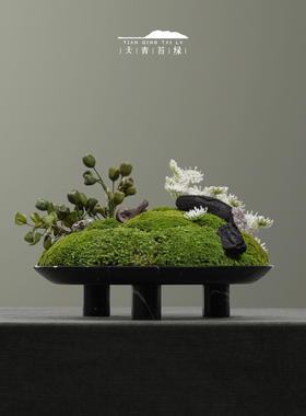 天青苔绿永生青苔盆景摆件