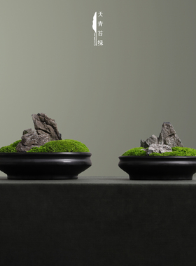天青苔绿 新中式假山永生苔藓组合 样板间茶空间茶几玄关桌面摆件