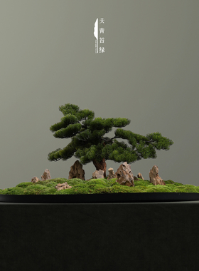 天青苔绿永生苔藓中式微景观摆件