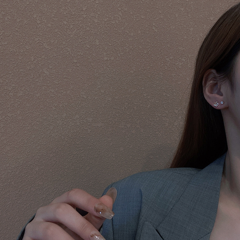 S925银针抖音同款超闪锆石小耳钉ins潮简约时尚耳环养耳套装系列 - 图2
