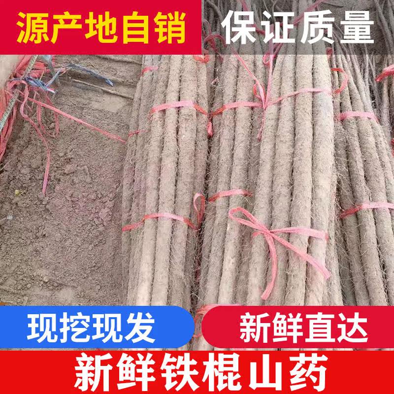  爱禧氏山药