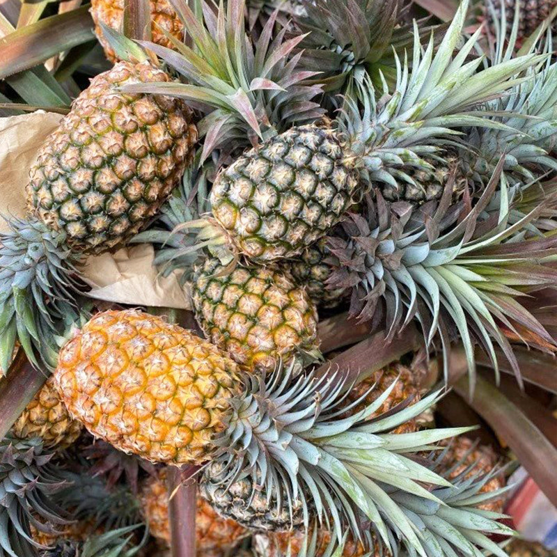 每天水果优选海南自然熟金钻凤梨正宗当季新鲜酸甜水果产地直发,淘宝优惠券,粉丝福利购,淘宝优惠卷