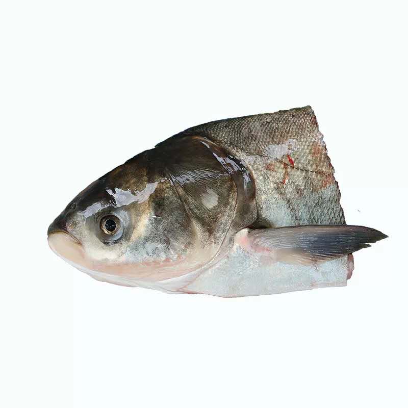 3-10斤/个 千岛湖大鱼头新鲜胖头鱼头花鲢鱼头鳙鱼鱼头泡饼  包邮 - 图3