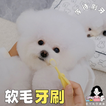 In the lower meatballs ten thousand Mao toothbrush soft brushed fur pet pooch toothbrushing to protect the gums in addition to mouth odor