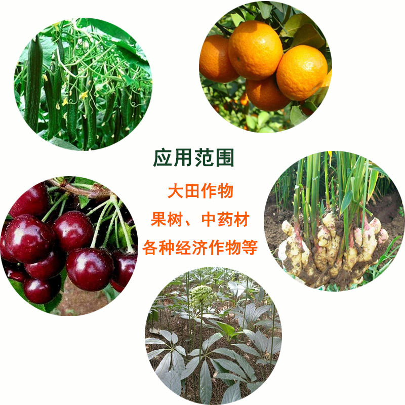 哈茨木霉 菌预防叶枯根腐病微 生物菌剂菌肥枯草芽孢菌杆菌 - 图1