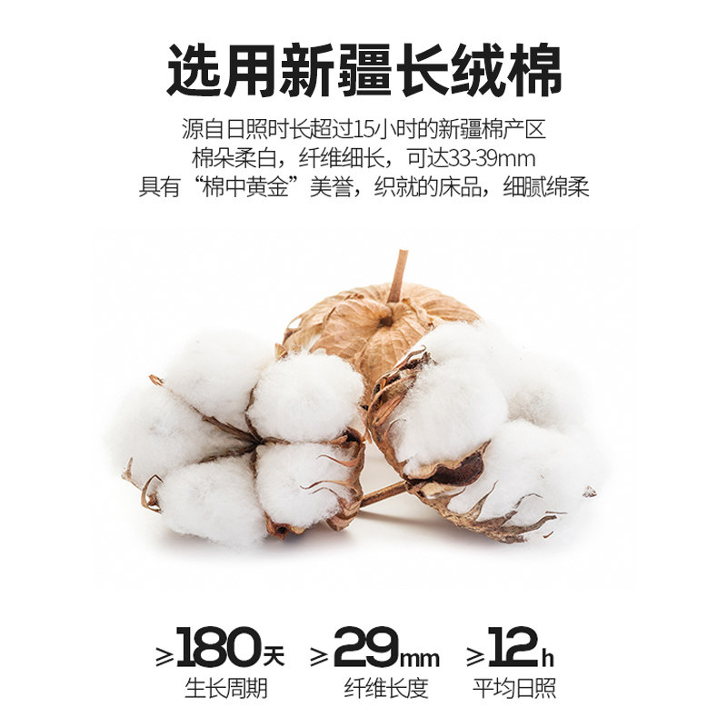  grace洁丽雅宝酒利化纤被