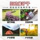 Outdoor digging and small shovel flower planting tools
