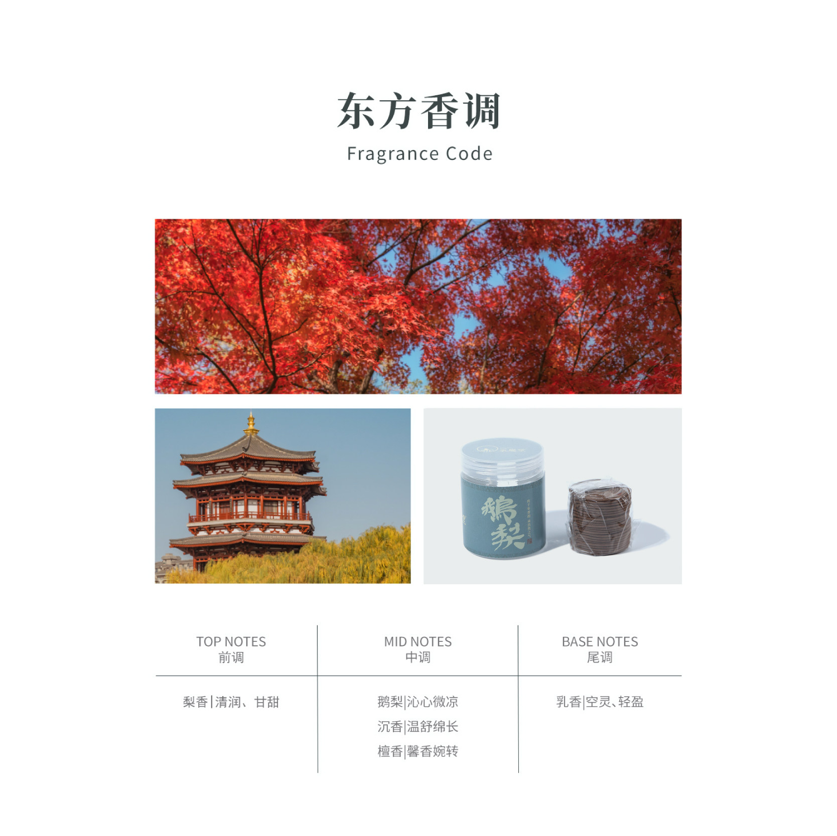 永庆堂【鹅梨帐中香】盘香天然合香卧室熏香家庭室内用香清甜梨香,淘宝优惠券,粉丝福利购,淘宝优惠卷