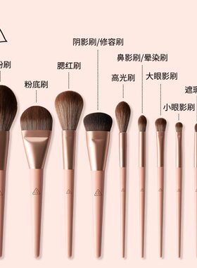 3CE朝阳玫瑰10支套装礼盒化妆刷