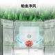 Bosch air-cleaning refrigerator