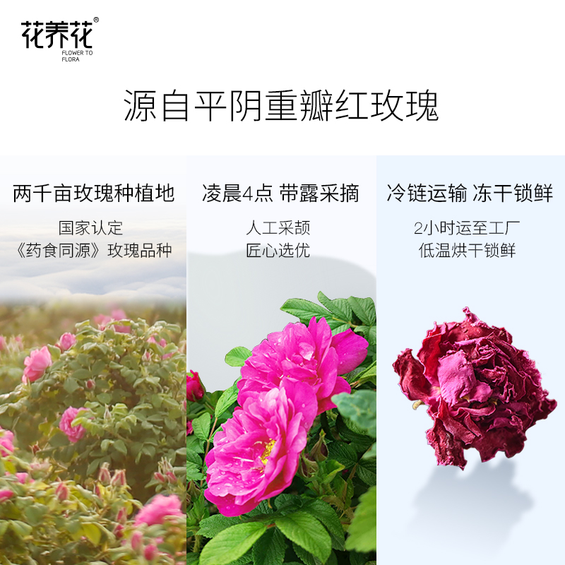 花养花玫瑰花茶5盒超值装干玫瑰干花泡茶大朵旗舰店平阴重瓣花冠 - 图1