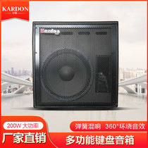 KARDON Carton KB200KB400 100W200W Keyboard Beji sound box Multi-functional rehearsal performance speaker