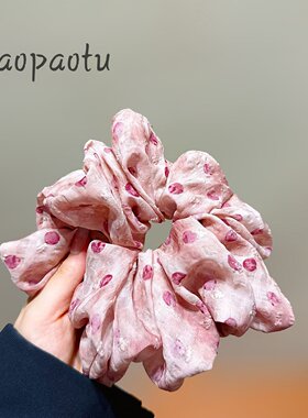 森系超仙大肠发圈网纱刺绣碎花清新甜美韩系复古气质头绳发饰女